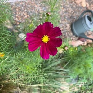 sale❤️‍🔥 BUNDLE & SAVE!